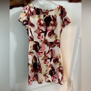 Flattering Ivanka Trump stretch burgundy rose floral dress